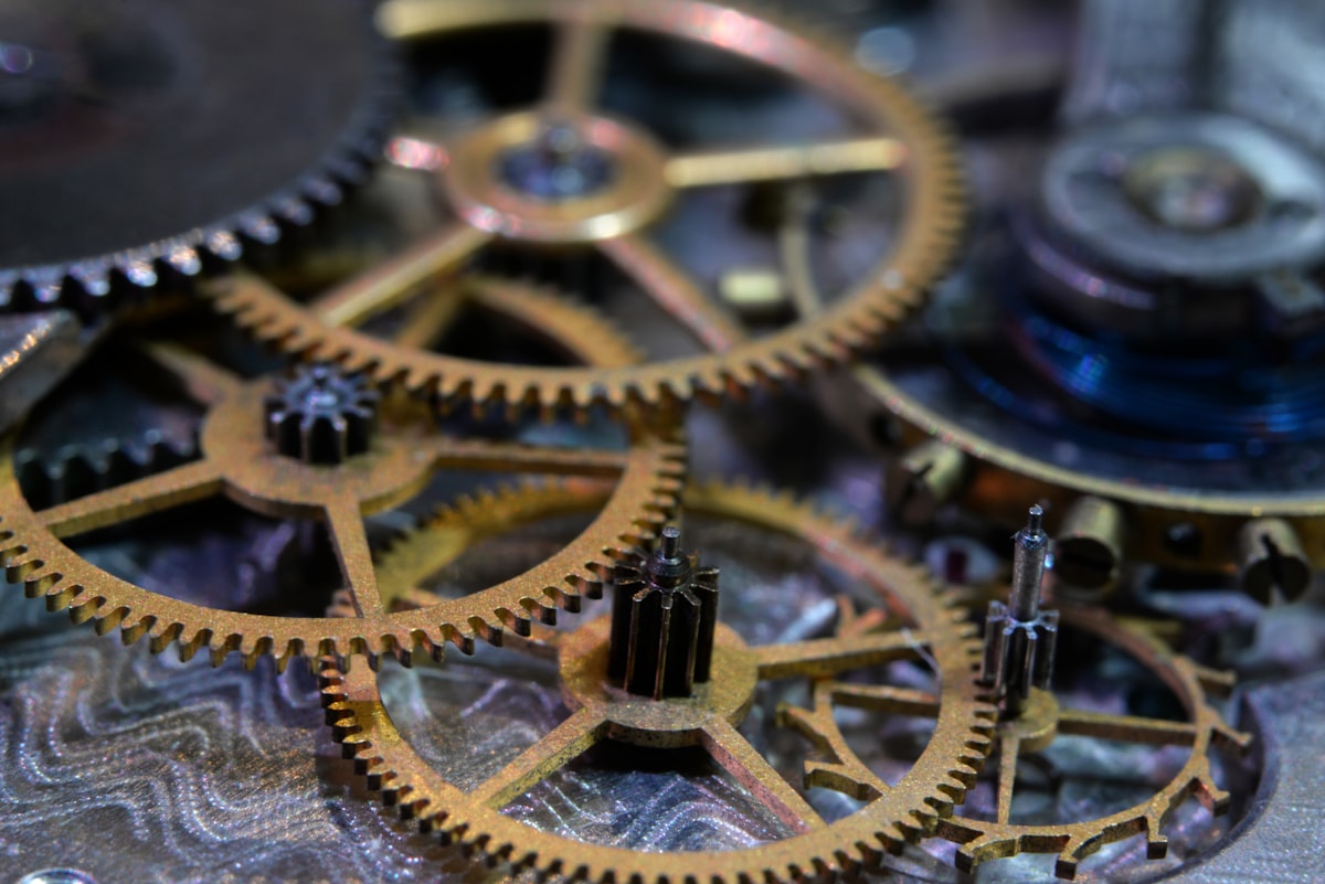 How to read a movement — a collector's introduction